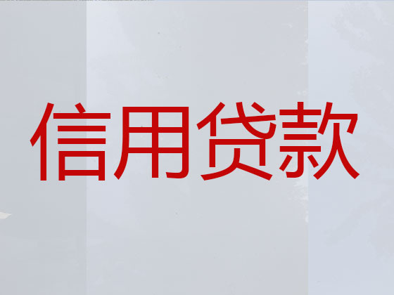 丽水抵押贷款-信用贷款